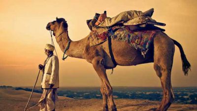 Bikaner Camel Festival 2023 Tour Package