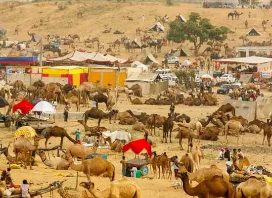 Pushkar Summer Trip Tour Package