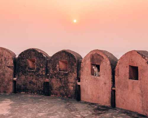 Sunrise to Sunset Jaipur Tour with Guide